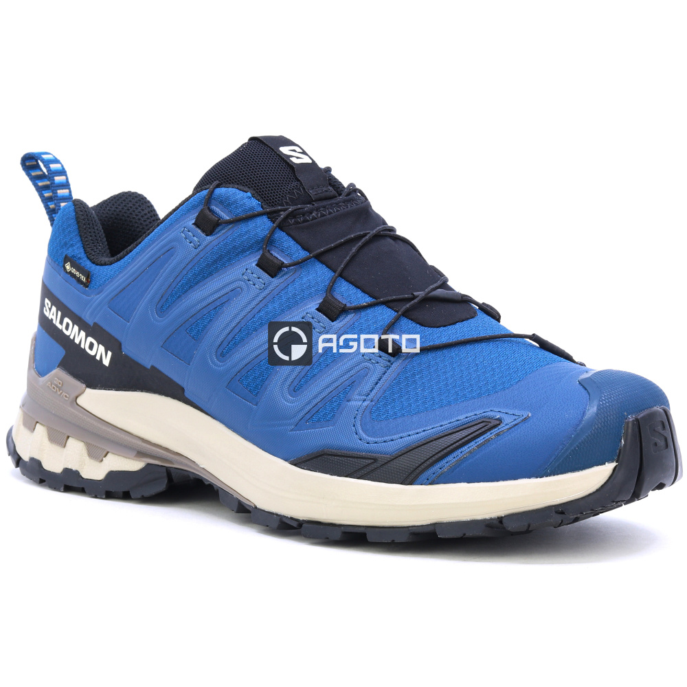 detail Wanderschuhe SALOMON XA Pro 3D V9 GTX GORE-TEX®