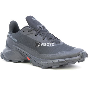 Wanderschuhe SALOMON Alphacross 5