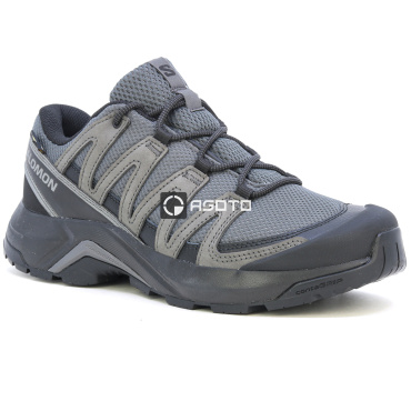 Wanderschuhe SALOMON X-Adventure Recon GTX Membran Gore-Tex®