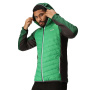 Vorschau Jacke REGATTA Andreson VIII Hybrid